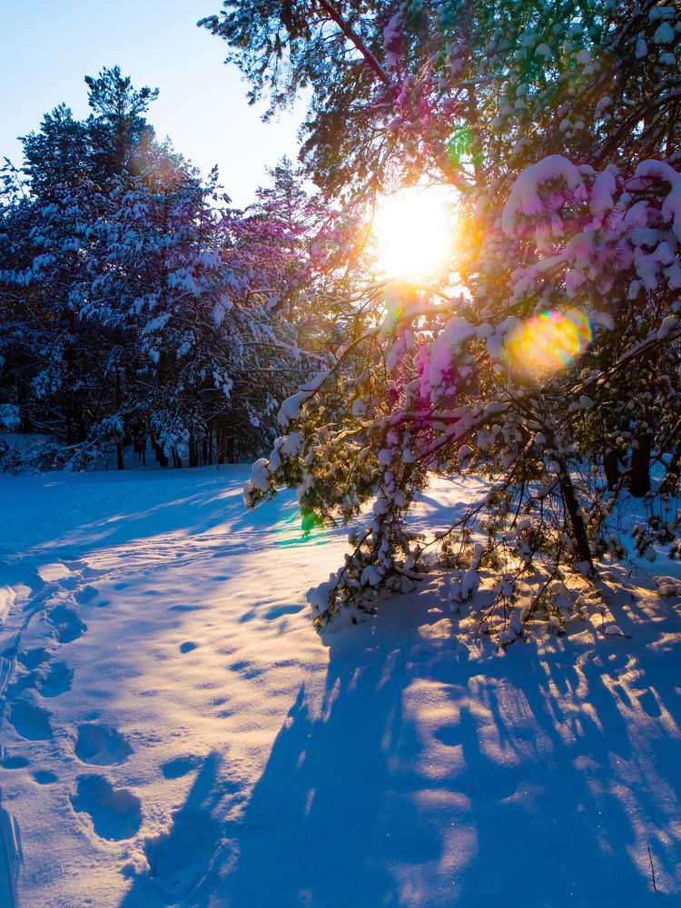 Фотография автора Александр Галах