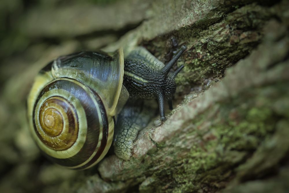 Photograph by Марина Хилько