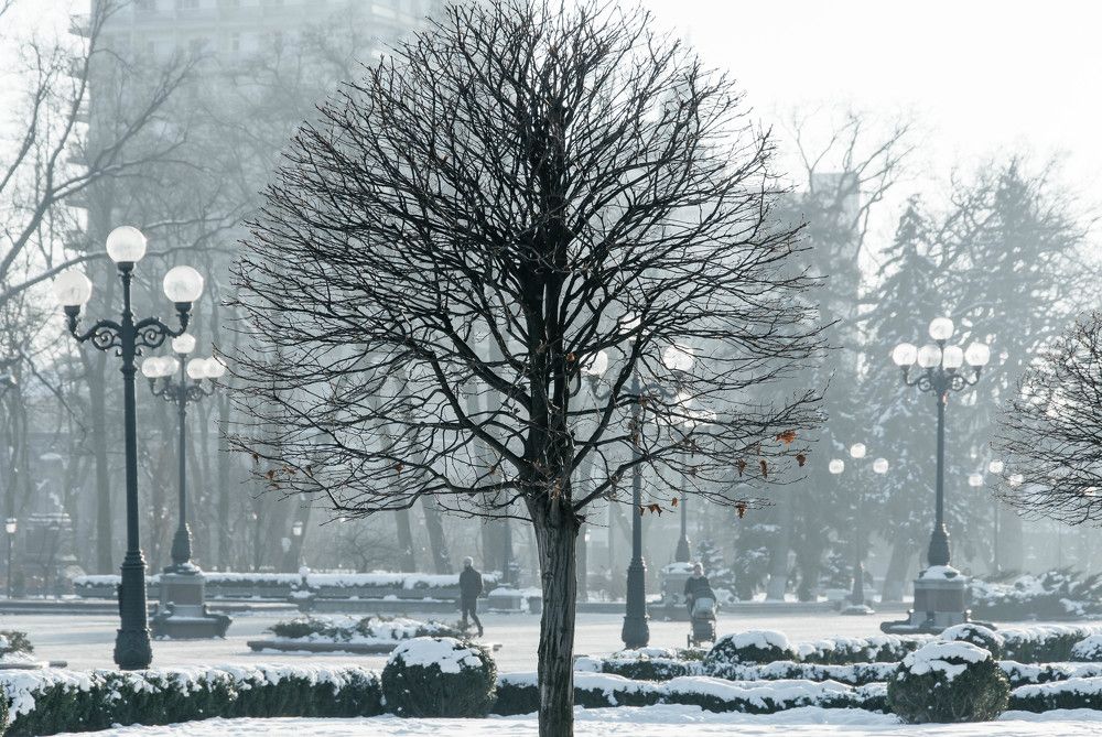 Photograph by Светлана Харчук