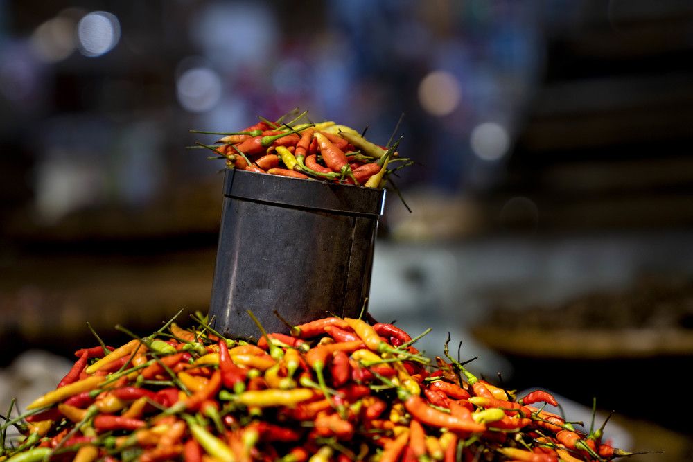 Photograph by EELIN Chan