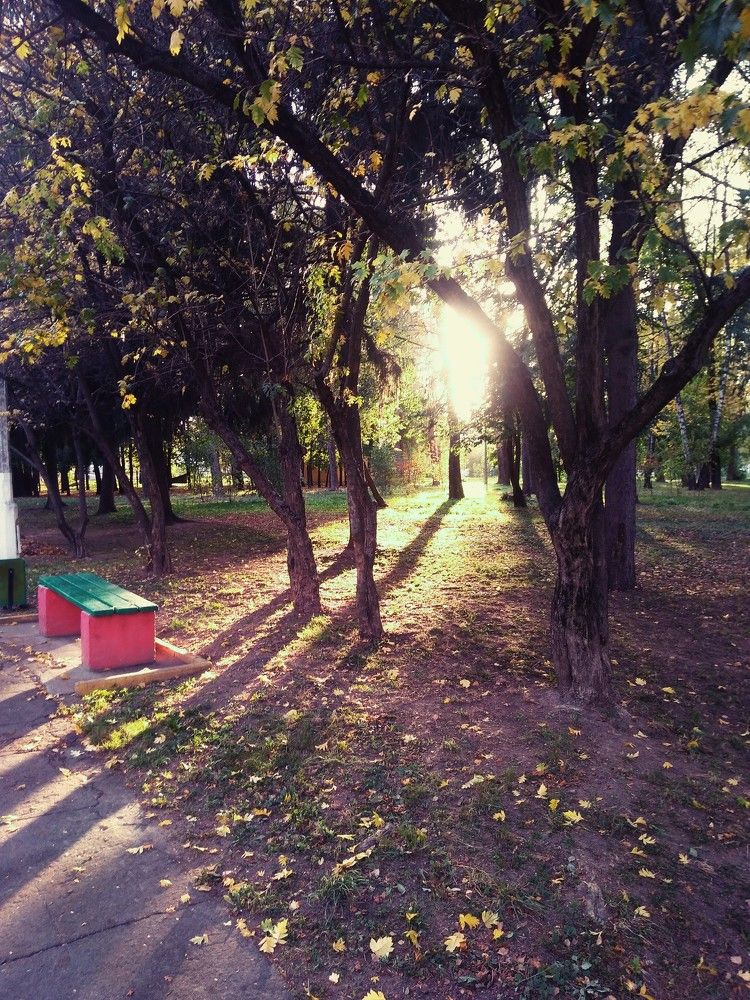 Photo #5594380