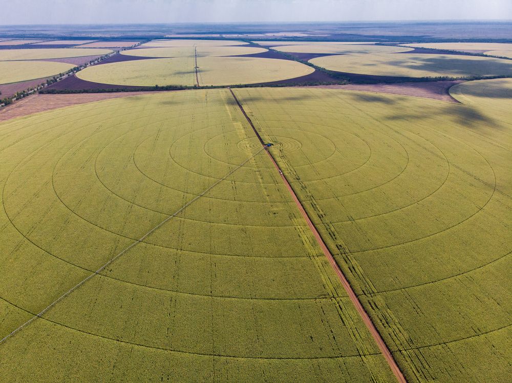 Photograph by Пешехонов Дмитрий