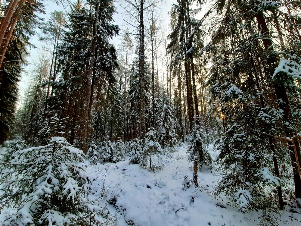 Photograph by Елена Грошева