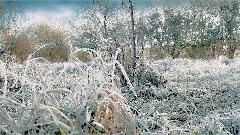 Photograph by Леонид Борисенко