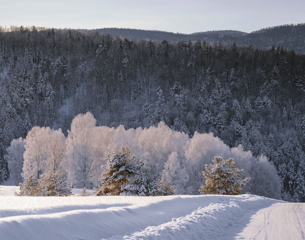 Морозное утро...