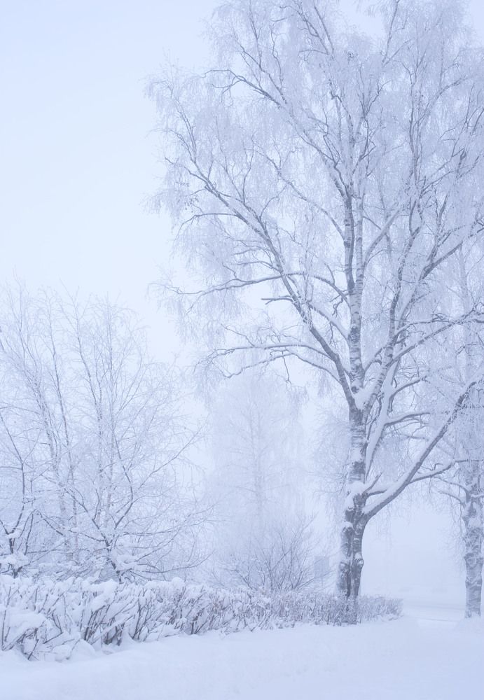 Photograph by Наталья Переверзева