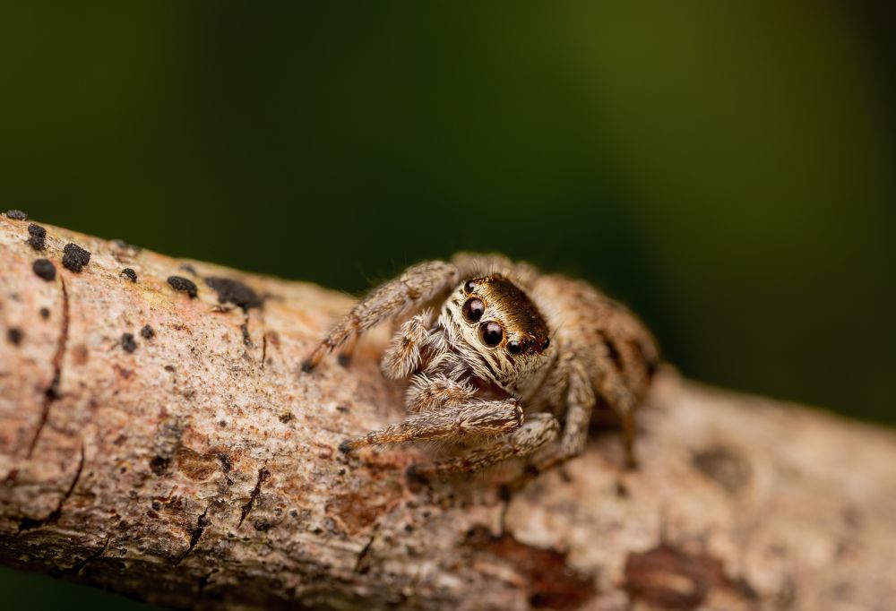 Photograph by Глеб Коровко