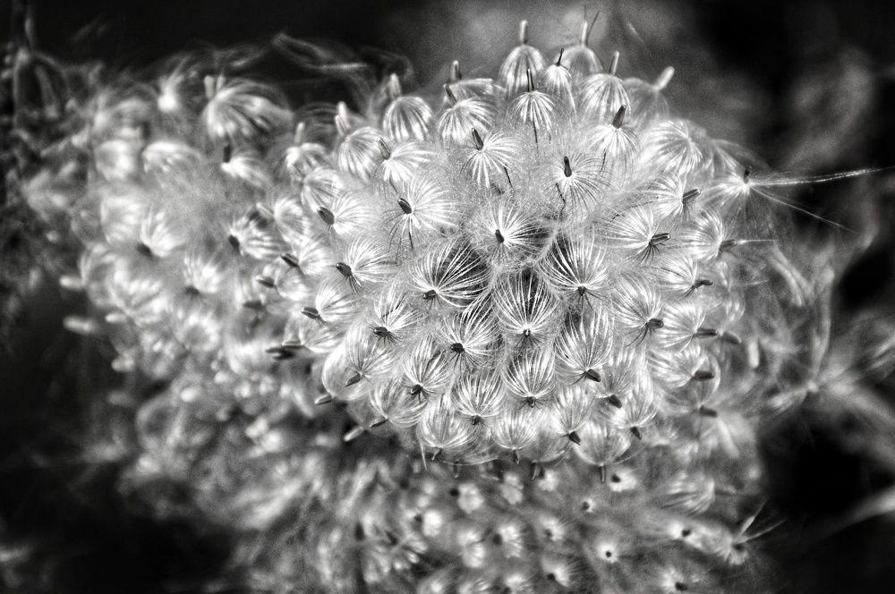 Photograph by Евгения Лушенкова