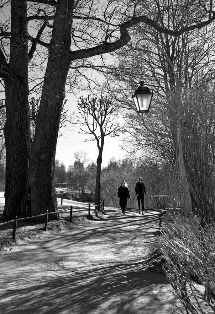 Фотография автора Валентина Харламова