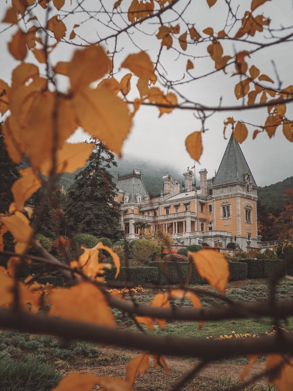 Photo #5595105