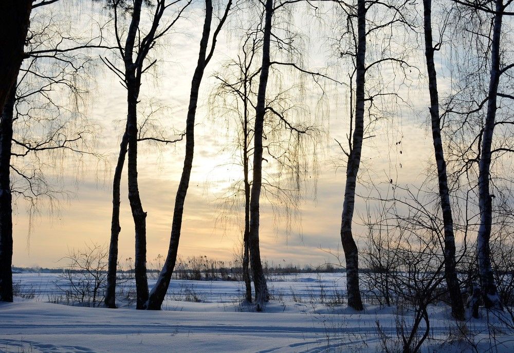 Photograph by Наталья Кошелева