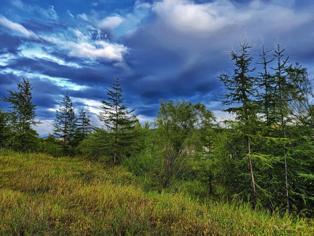 Photograph by Tatyana Romanova