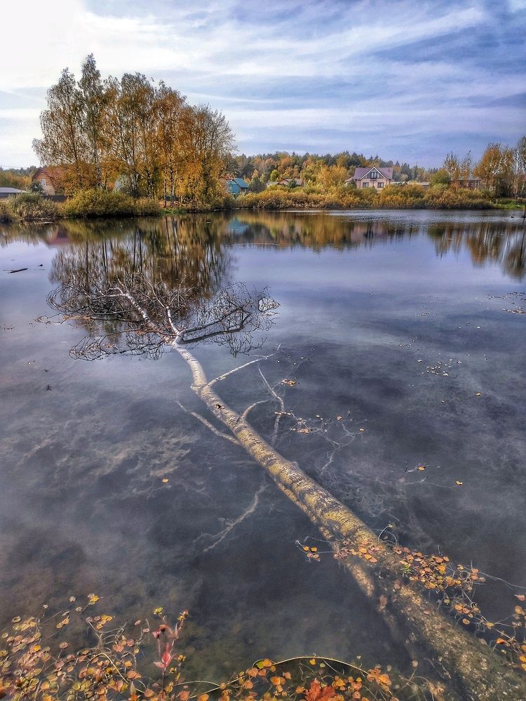 Апокалипсис в воде...