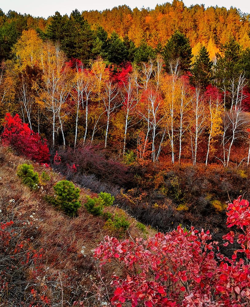 Photograph by Лашков Фёдор