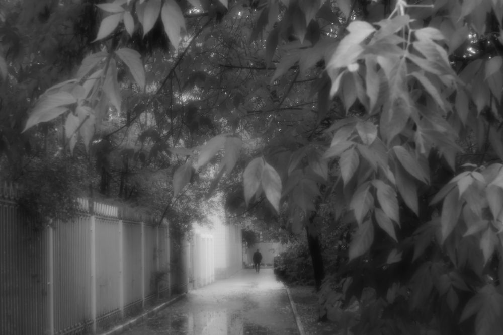 Photograph by Tatyana