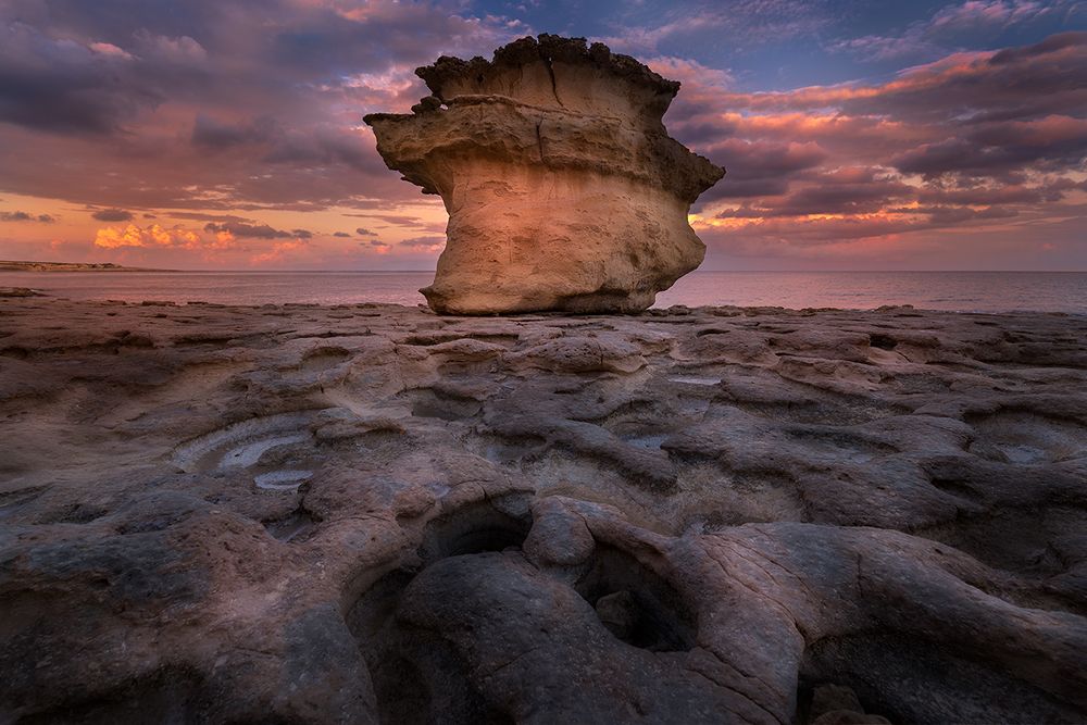 Photograph by kostadin bayraktarov