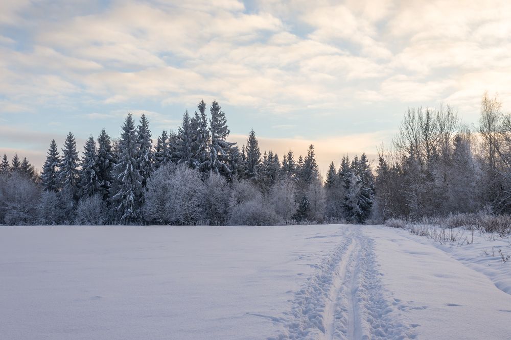 Морозный день