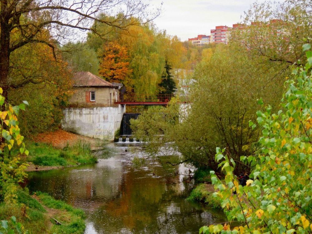 Кусочек красоты в городе.
