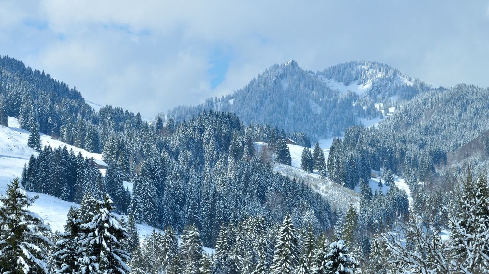 Photograph by Евгений