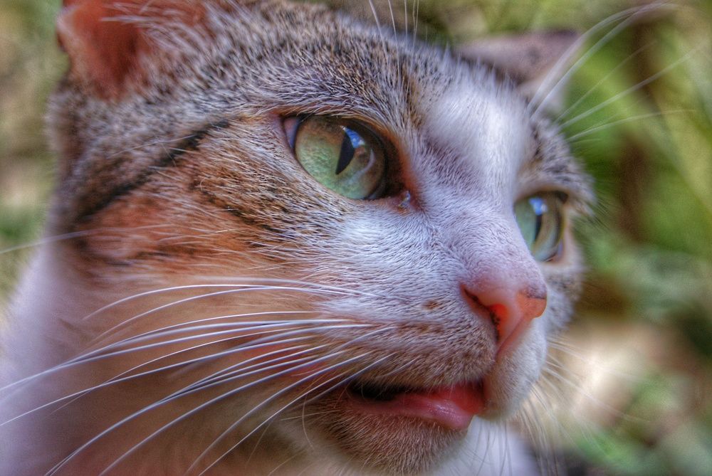 Photograph by Nileydi Colmenarez