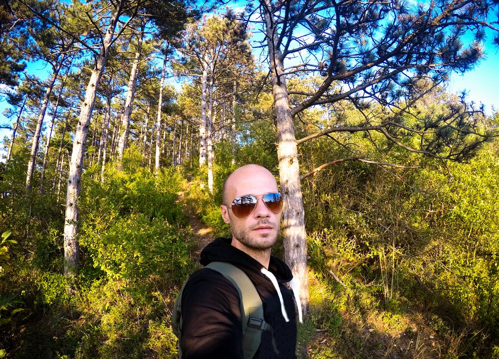 Photo #5595880