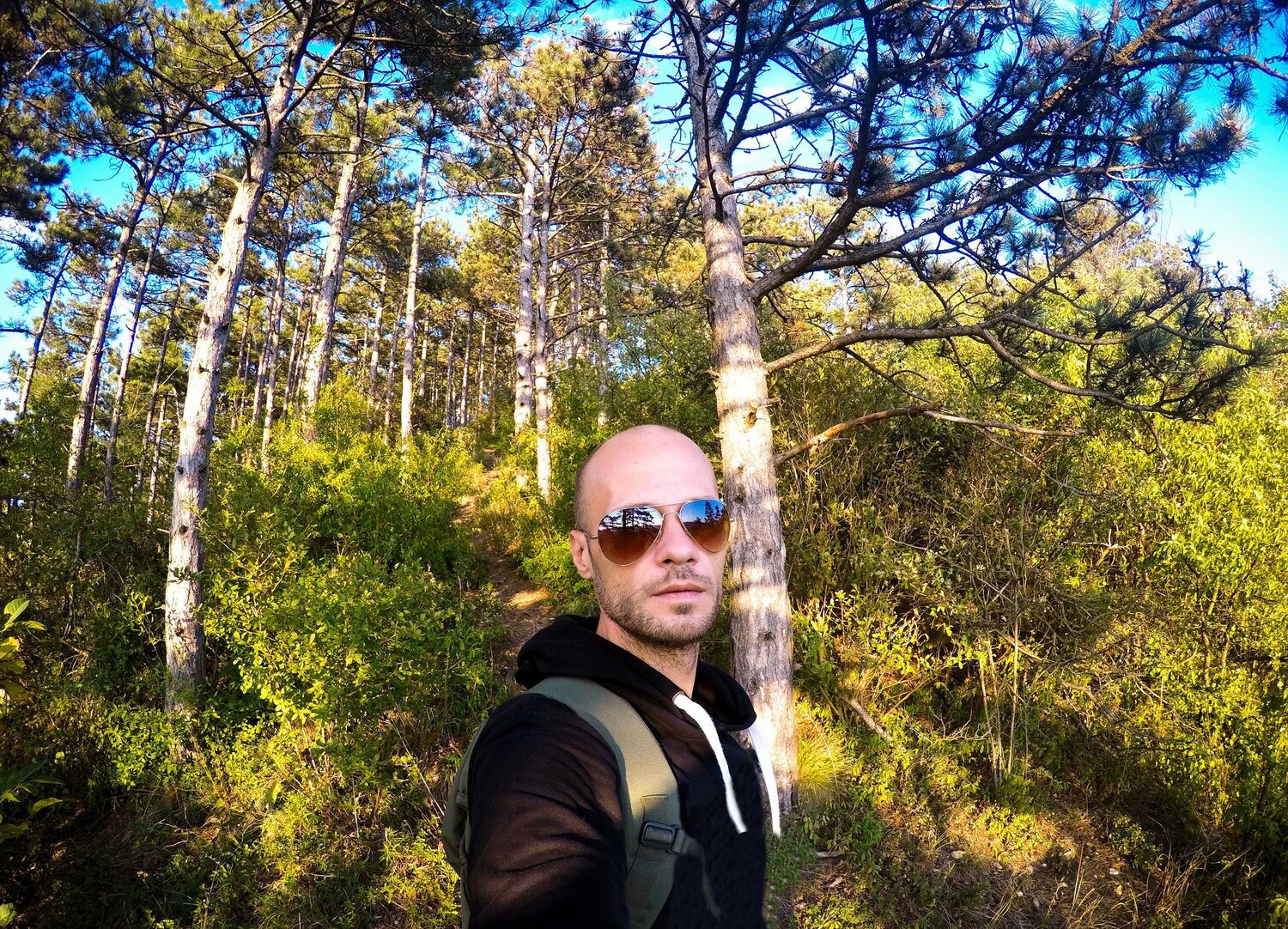 Photo #5595880