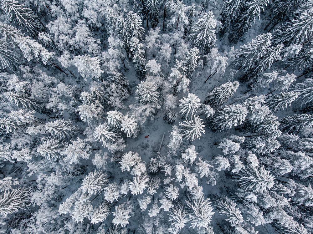 Photograph by Надежда Шпуляр