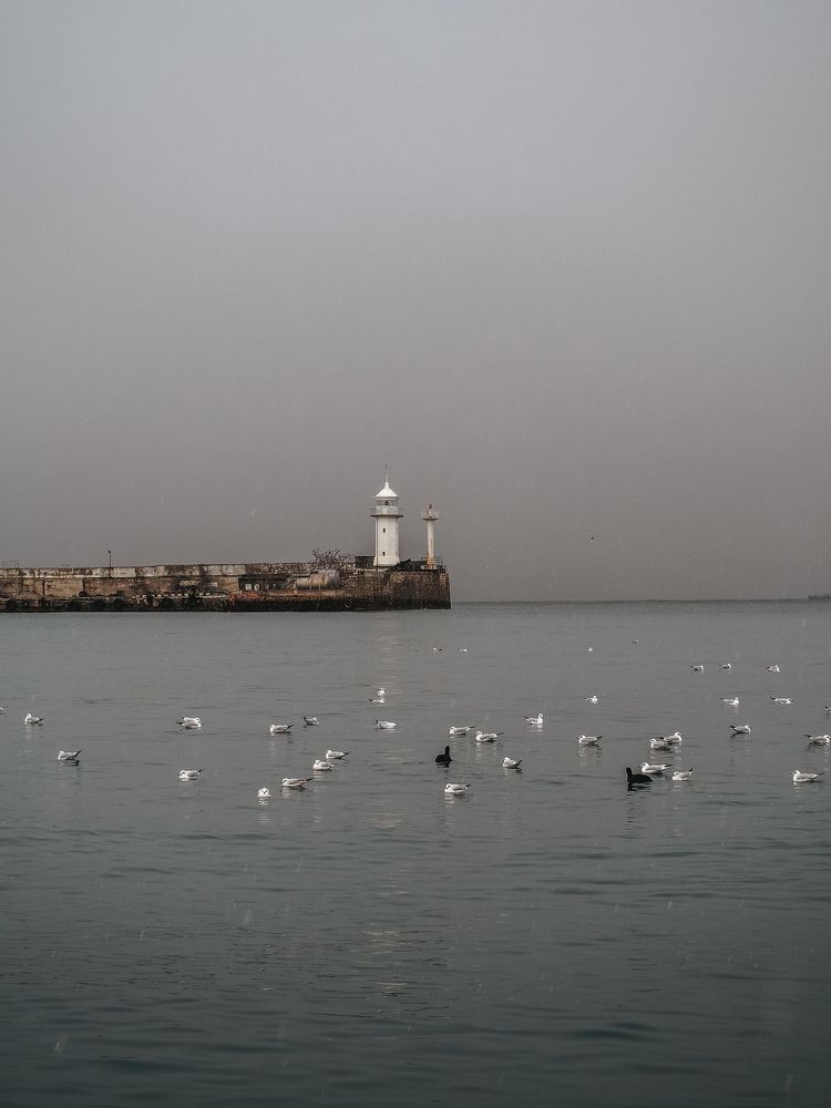 Photograph by Анна Долгих
