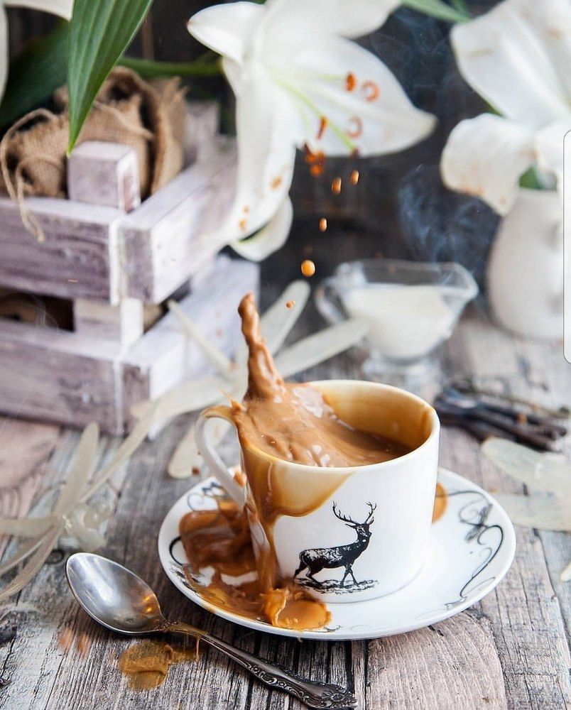 Photograph by Анастасия Блинкова