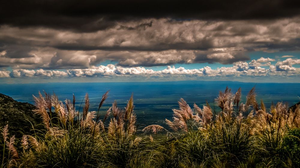 Photograph by Rolando Hernandez