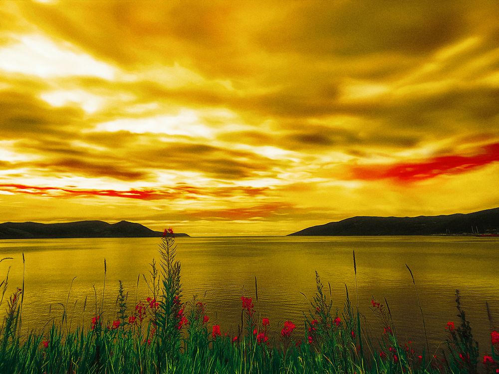 Photograph by Tatyana Romanova