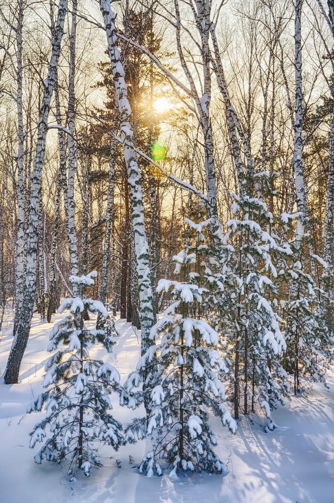 Photograph by Руслан Нигматуллин