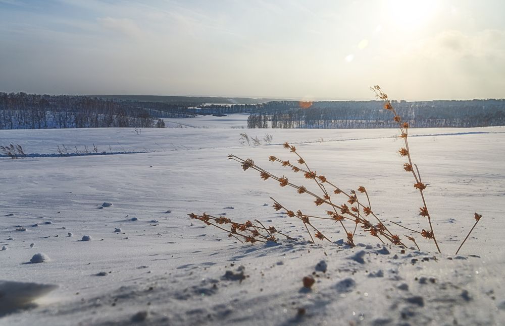 Photograph by Руслан Нигматуллин