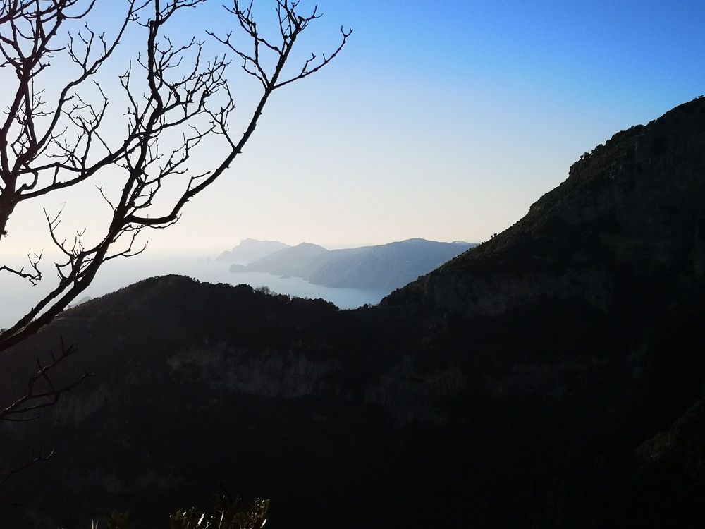 Photo #5596155