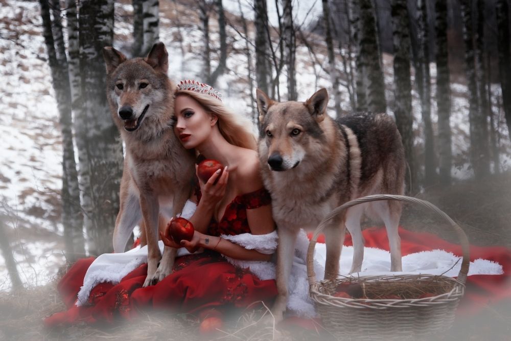 Photograph by Svetlana Serova