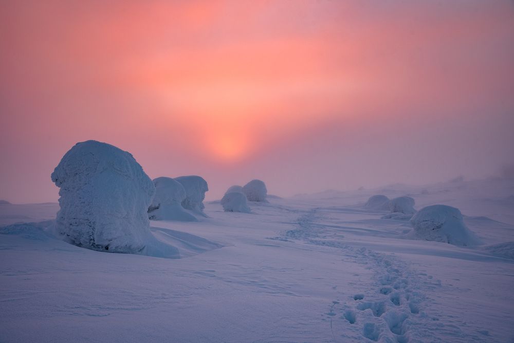 Photograph by Olga Akhmetova