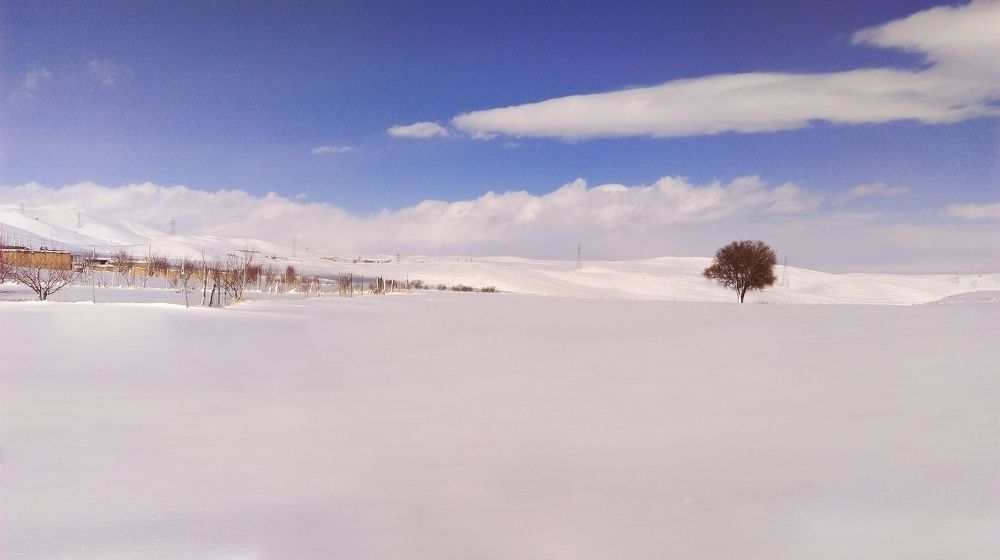 Photograph by ali bakhshi