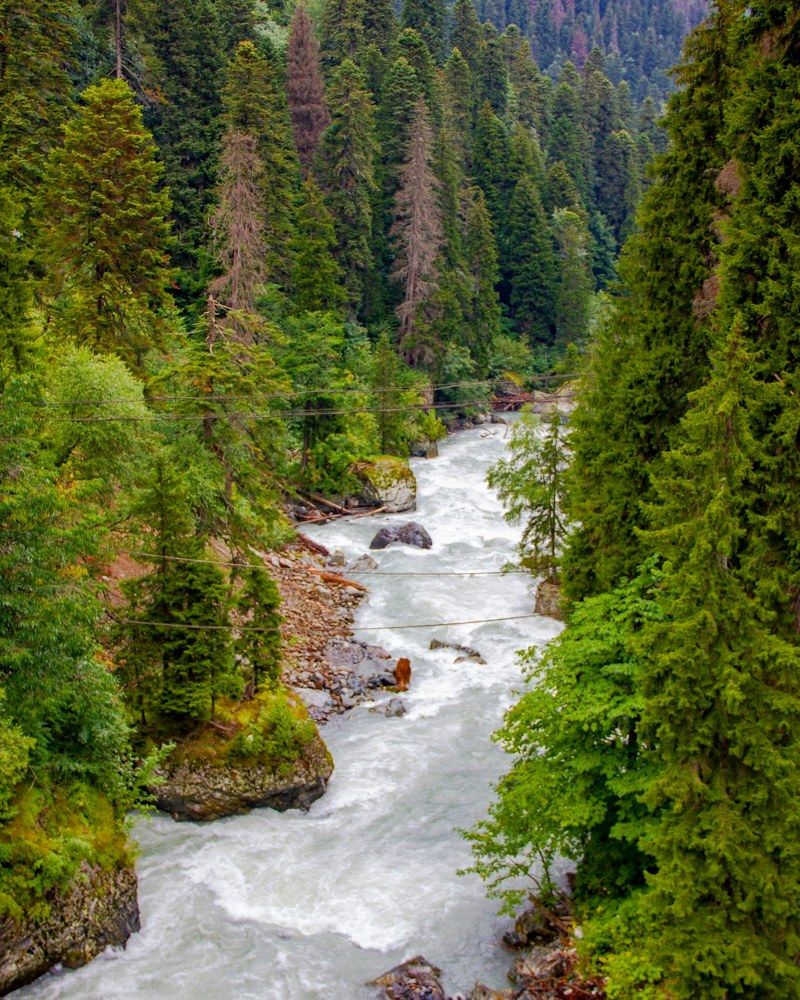 Photograph by Сергей Маркелов