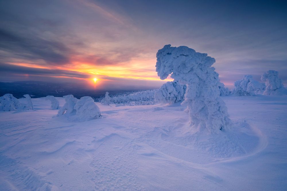 Photograph by Сергей Луканкин