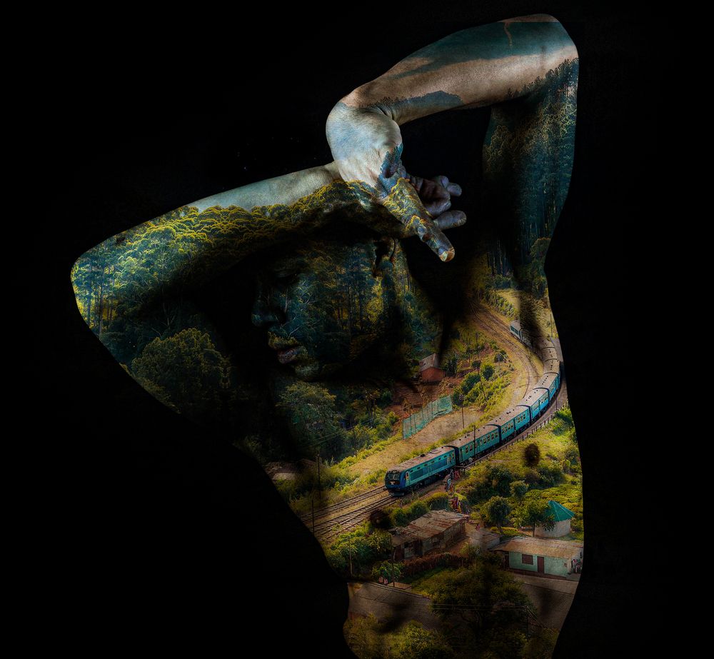 Photograph by alireza yazdani