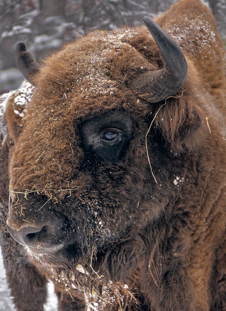 Нестудийный портрет