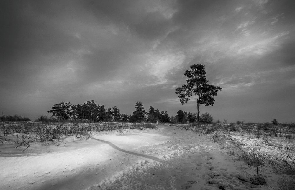 Photograph by Александр Белянский