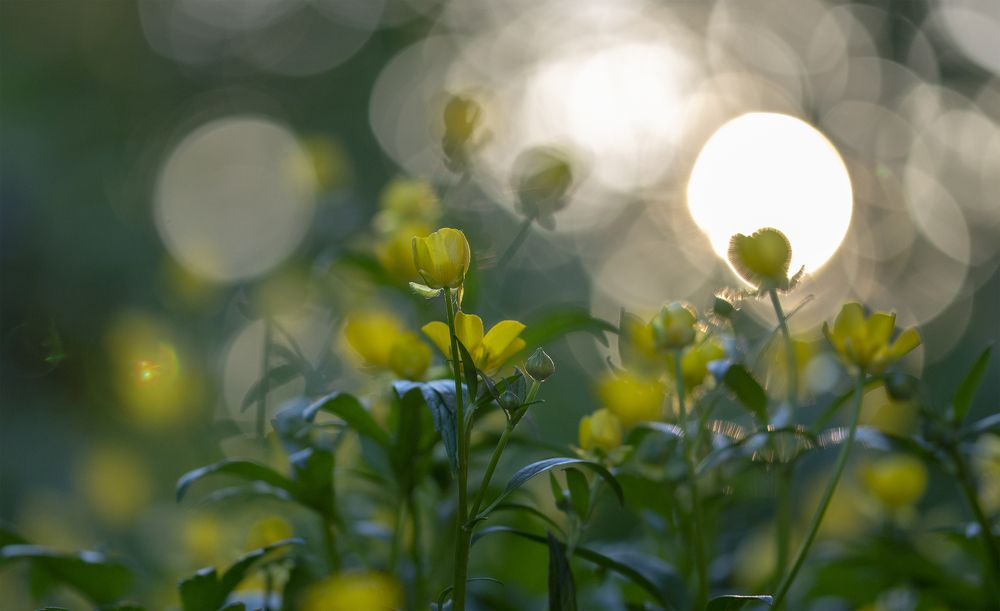 Photograph by Денис Гуляев