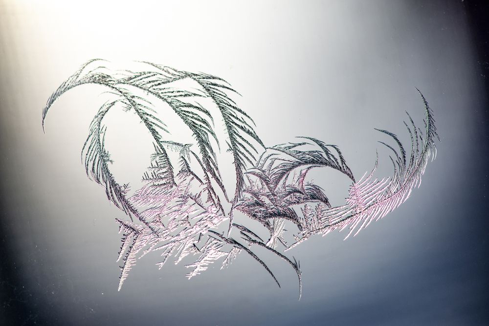 Photograph by Денис Гуляев