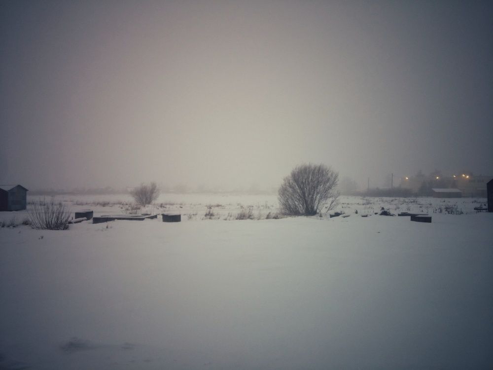 Photograph by Елена Амосова