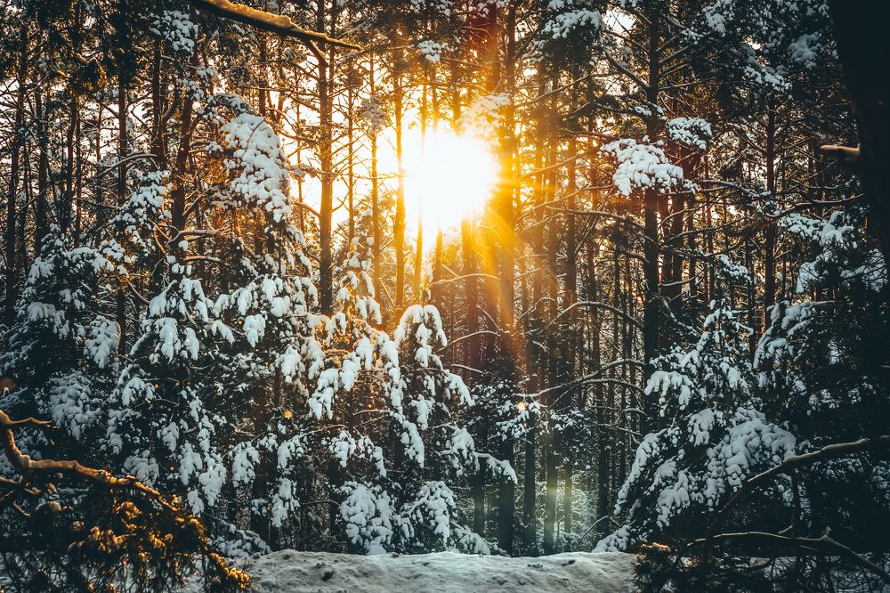 Photograph by Александр Казак