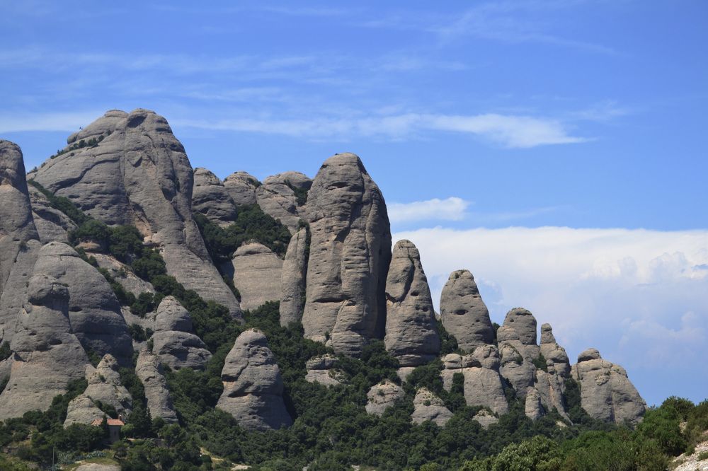 Photograph by Natalia Vishnyakova