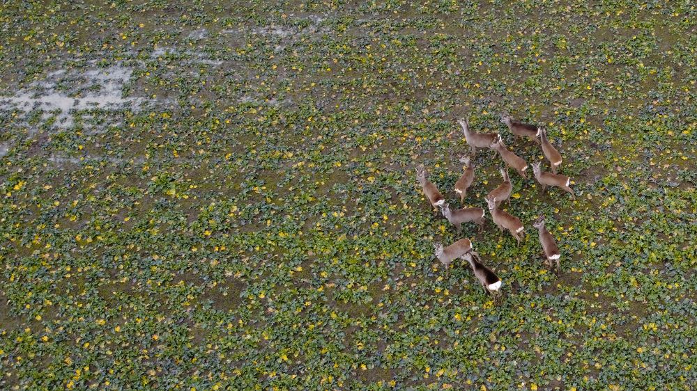 Photograph by Mihai Romeo Bogdan