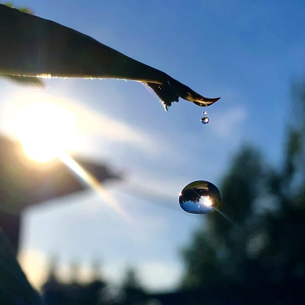 Photograph by Юлия Отставнова