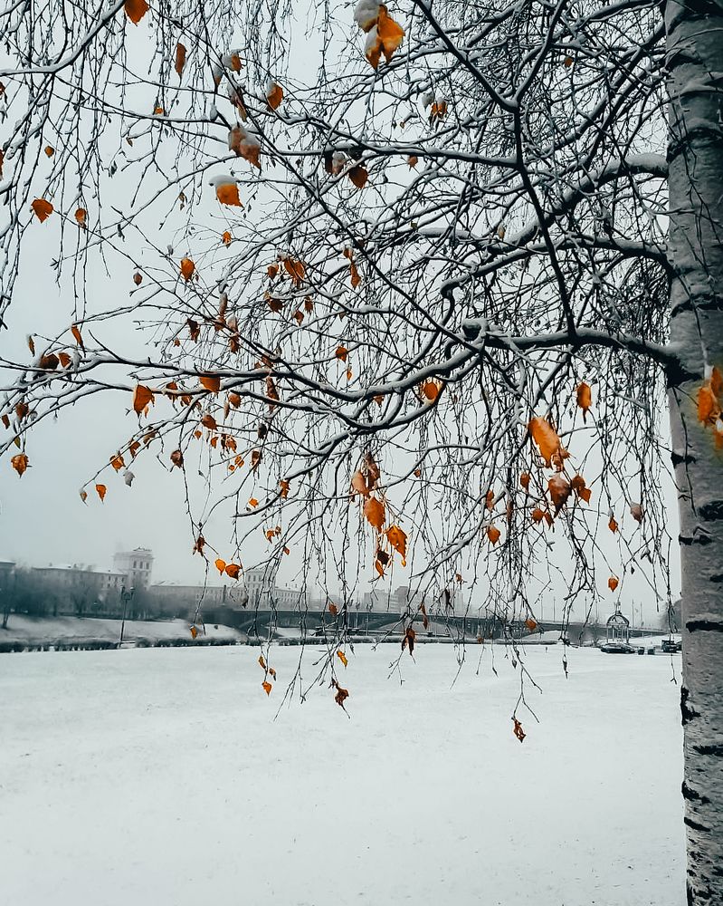 Photograph by Павел Агеев